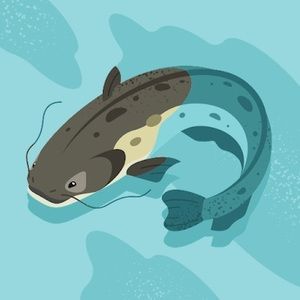 Meet your Posher, Omario